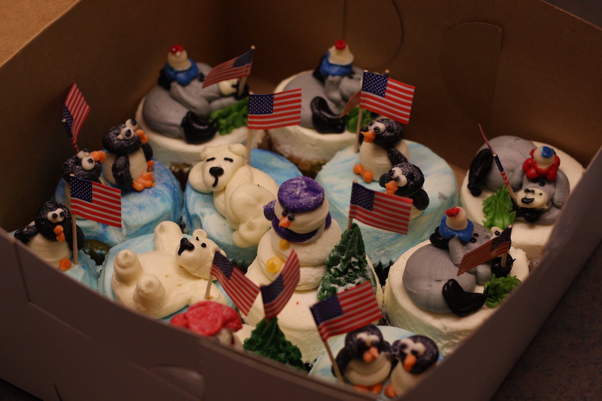Cierra una caja de pastelitos bellamente decorados de Party Favors en Boston. Los adornos están rematados con glaseado azul y pingüinos helados, osos polares y muñecos de nieve.