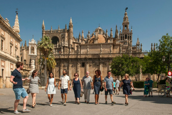 España tiene más de 260 variedades de deliciosas aceitunas para disfrutar, pero ¿cuáles crees que hacen el mejor aceite de oliva en Barcelona? ¡Te ayudamos a saber dónde comprar aceite de oliva en Barcelona!