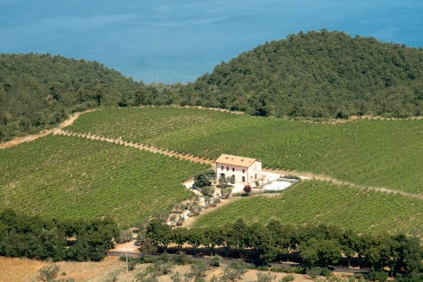 Antiche Cantine Leonardi, una de las mejores bodegas cerca de Roma, es productora del icónico DOC Est! ¡¡Pero!! ¡¡¡Pero!!! vino.