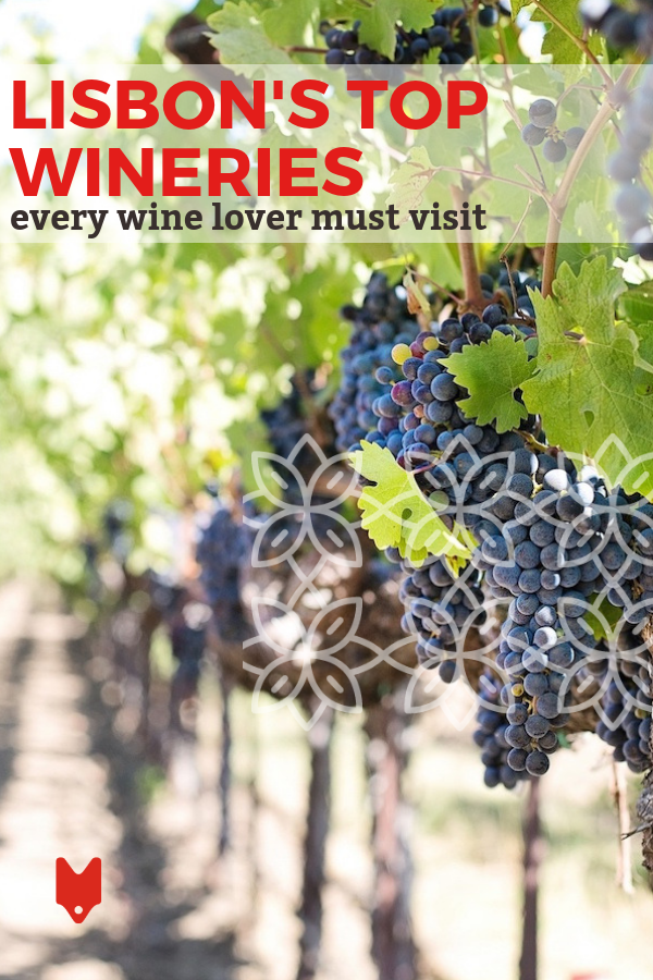 Los amantes de la comida y del vino se deleitarán con la oportunidad de escapar de la ajetreada Lisboa en la campiña portuguesa, hogar de algunas de las mejores bodegas del país. ¡Explorar estos hermosos destinos y beber vino con vistas es una de las mejores cosas que hacer en Portugal! Consulte nuestra guía de las mejores bodegas de Lisboa para inspirarse seriamente para viajar. #vino #vinodecisiones