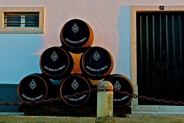 Moscatel es uno de los mejores vinos portugueses producidos en la región de Setúbal.
