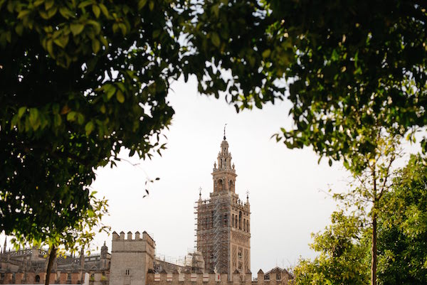 Una visita a la catedral de Sevilla no está completa hasta que no hayas visto las vistas desde arriba.