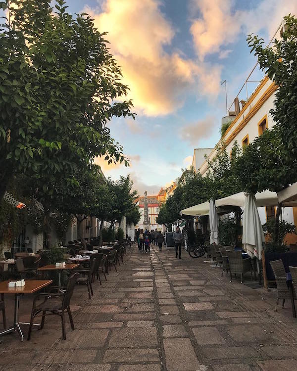 Después de seguir este curso de cosas que hacer en Córdoba, ¡relájate y disfruta de una cena al aire libre en la Plaza del Potro!