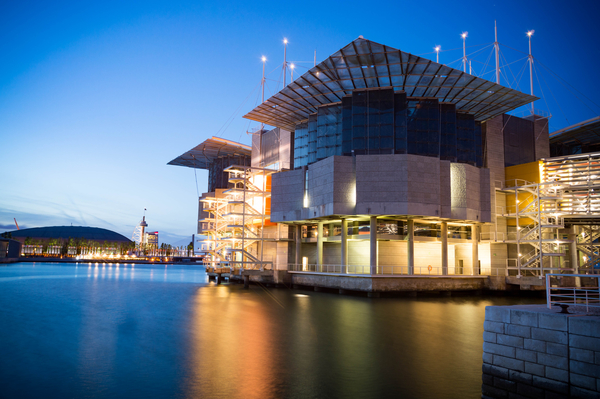 Visitar el Oceanário es una de nuestras cosas favoritas para hacer en Lisboa bajo la lluvia.